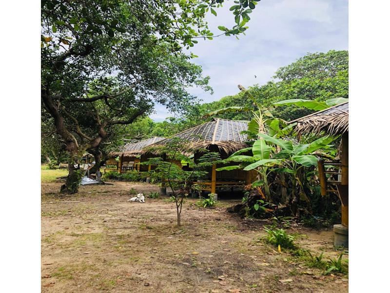 Chalee Tropicana Bungalow Koh Phayam Exterior photo
