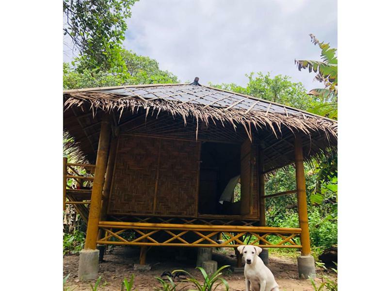 Chalee Tropicana Bungalow Koh Phayam Exterior photo